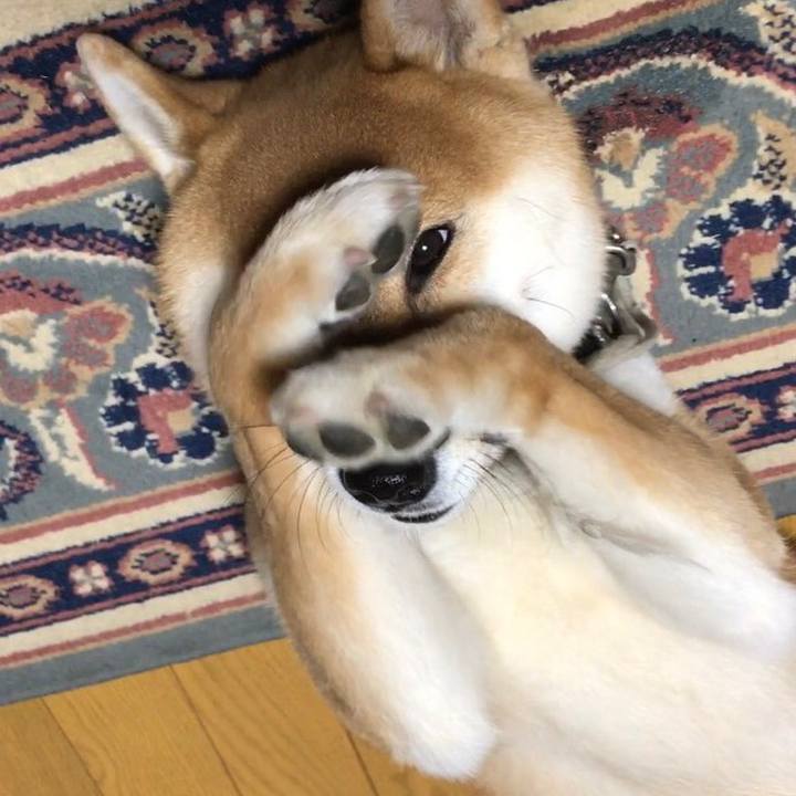 5a298ac4 0b52 4d4f 94a7 35943896fb50 1518173916956