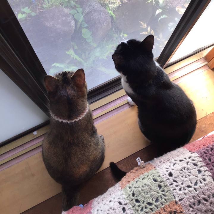 5a29a078 962c 4b82 a954 512116ceb866 1651273237492