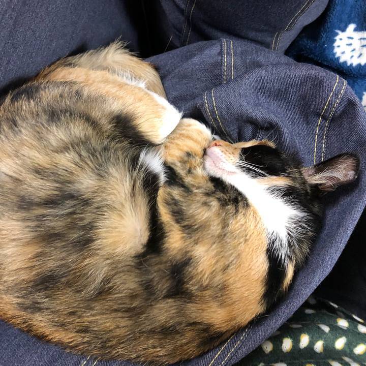 5a2a6b3e 41ea 4b8b 8af9 6bfb0d6c2fac 1551739837219