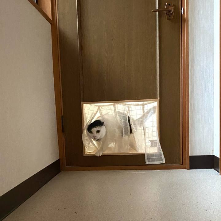 5a2ab612 10e6 45d0 8b4e 77315a4729f3 1650962778198