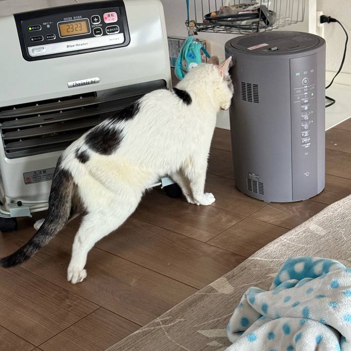 5a2af698 d702 4557 a10f d42850143195 1765078230500