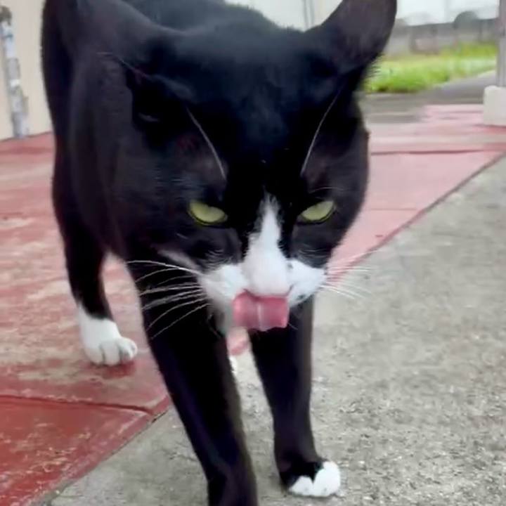 5a2b1811 a286 49d9 8429 102d98fe1deb 1754639622864