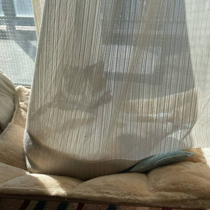 5a2b5ff6 1940 43c7 b803 7ebd489260b3 1732338900287