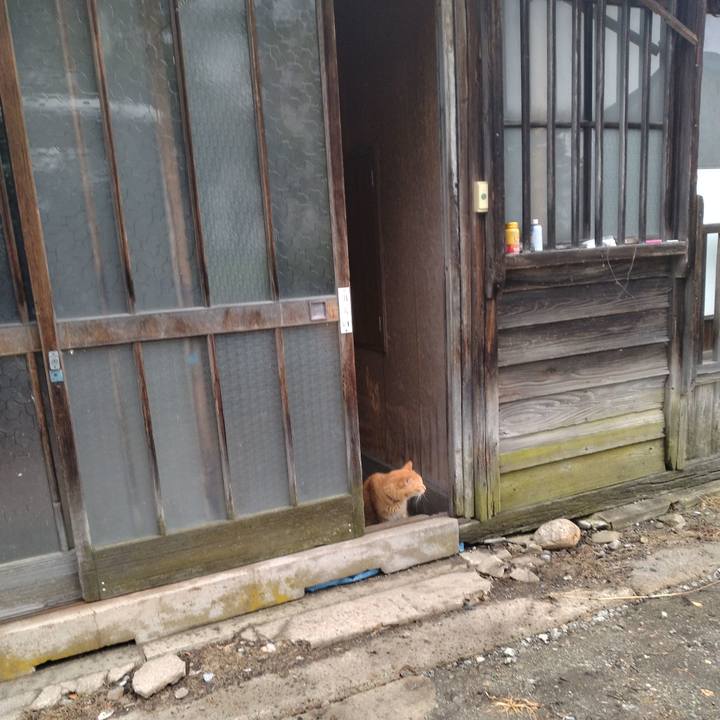 5a2b642b 0a25 4601 bd38 bb7cd5a0b425 1752529804064