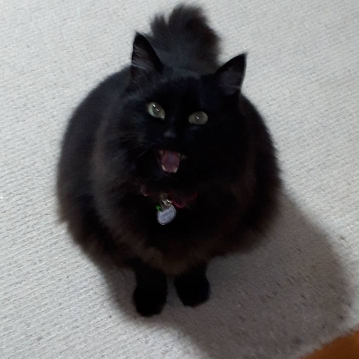 5a2b9547 14e3 46dc 91e7 f77905bdbcd8 1521834359132