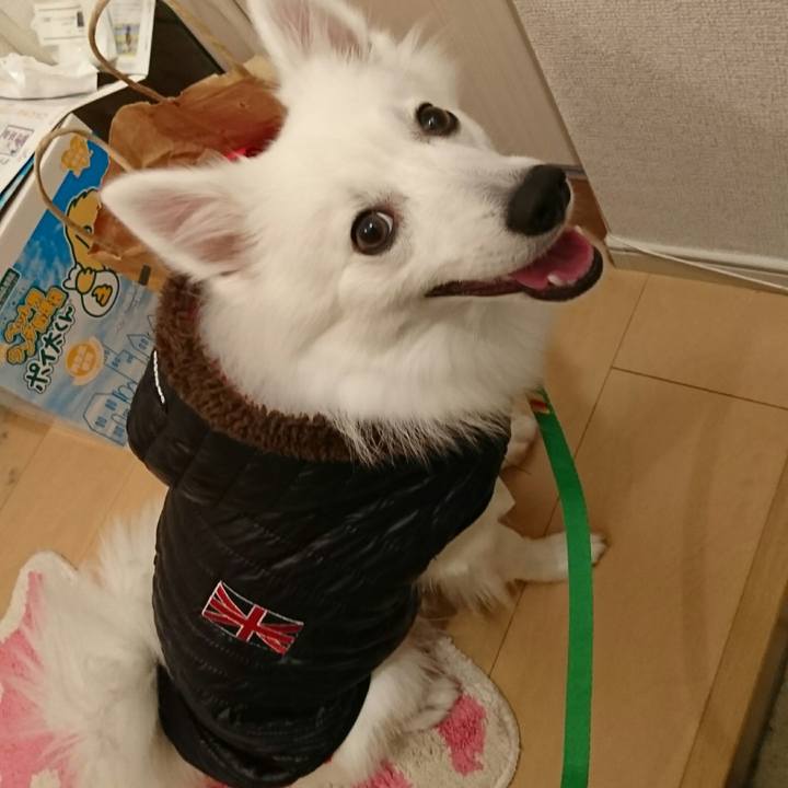 5a2bc643 0bf0 4439 87f8 90934eab4314 1508251827546