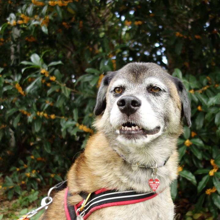 5a2bdbd6 d66d 46cd aa0b 1f13ac1dbe2f 1616284497554