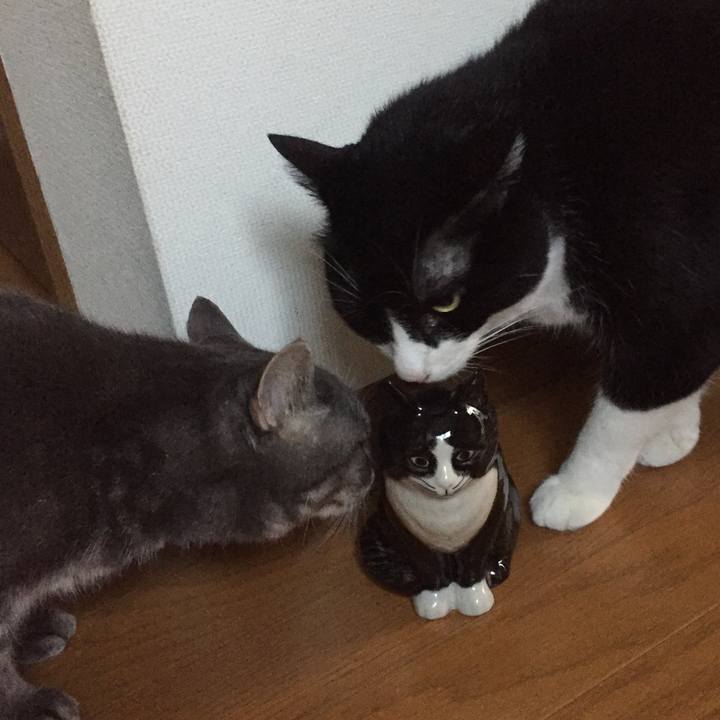 5a2bf58f 2e8c 46c0 96b1 ed08b84684b1 1539507661343