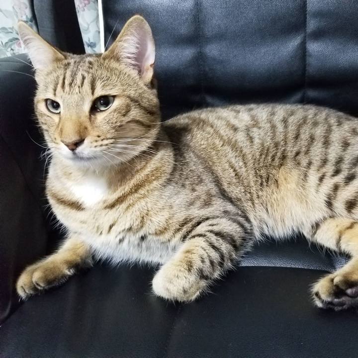 5a2bfcea 43d1 4b85 9310 d8b52dc7db5c 1646132568781