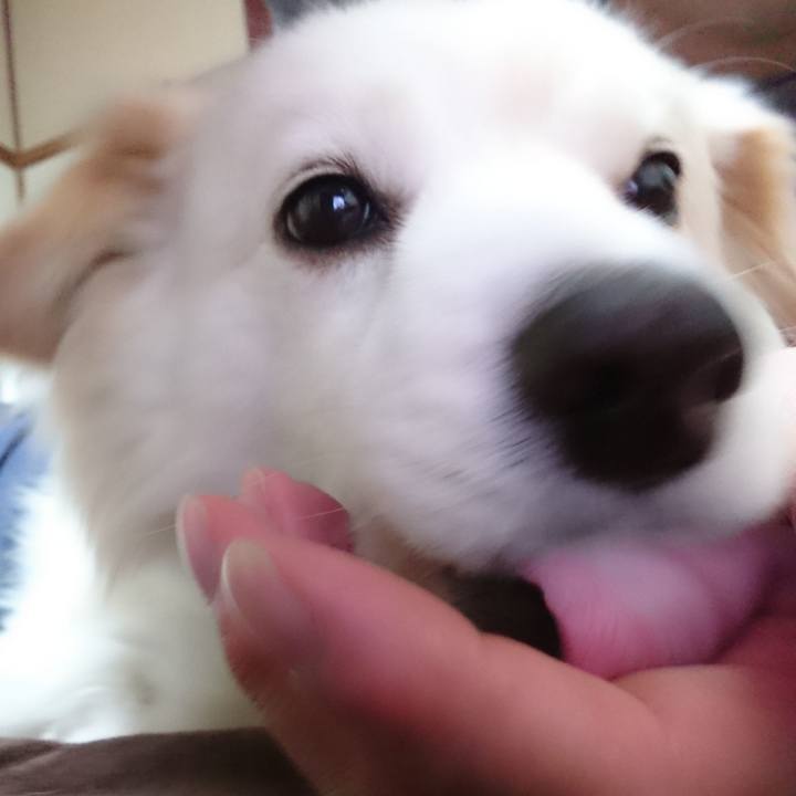 5a2c353f 9d26 4693 a9b5 0f3007110031 1522356865116