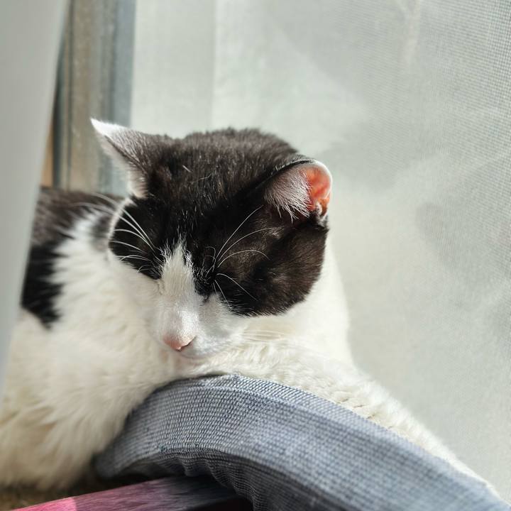 5a2c9df7 61ba 4363 8198 0f860f50d38b 1715478374588