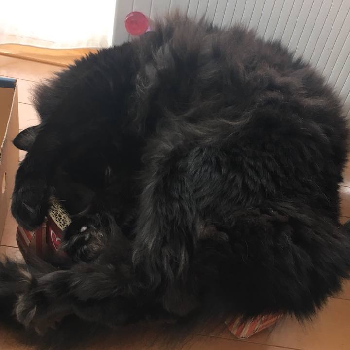 5a2cb2d2 348c 41f5 b8b7 0183c8b6935e 1552609610562