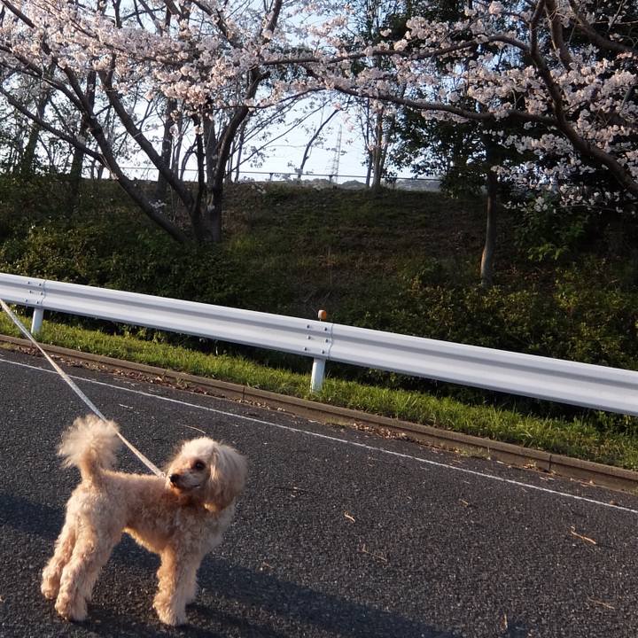 5a2cc62b 60fe 493e 93ab 932cfac1e67f 1522237882943