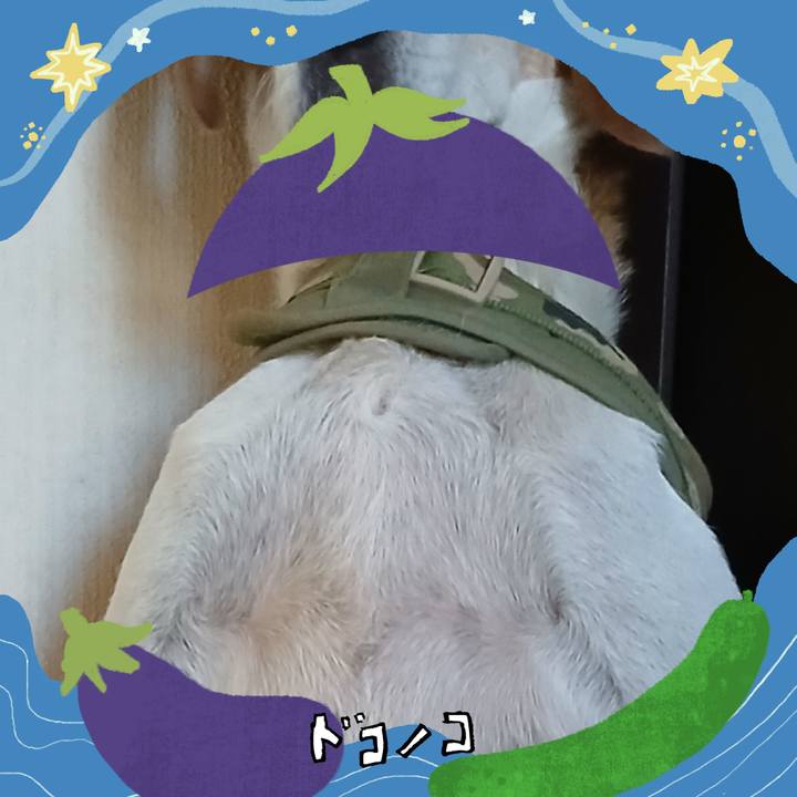 5a2cdc20 1978 48bf 89e1 5e5261f44748 1755258408620