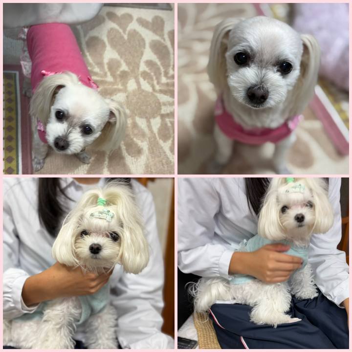 5a2d3319 cfbc 4df7 b360 16166534fab1 1761737099395