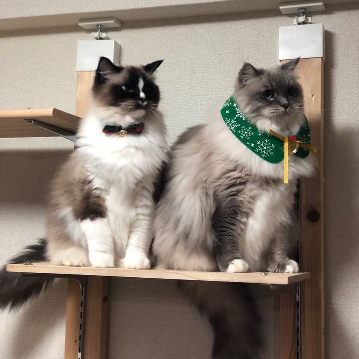 5a2d55e2 dd8c 46b8 9cde 96b2946159fd 1545538128389