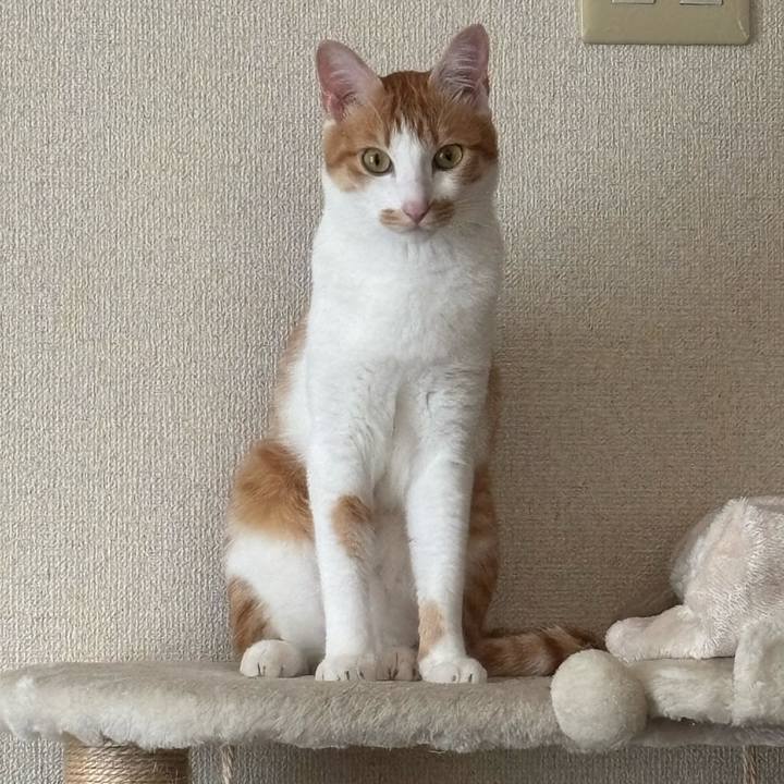 5a2d7c3a 03bb 487b 8d2f 80bdee96e99b 1751330313709