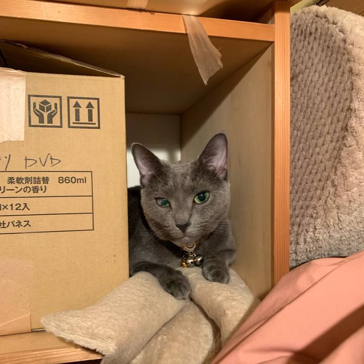 5a2d818e 0c8a 4052 97e2 acab4a166765 1631704176452