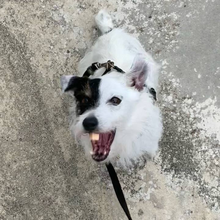 5a2d854a a8d9 4552 ba40 b26fedcf5c3e 1657928972182