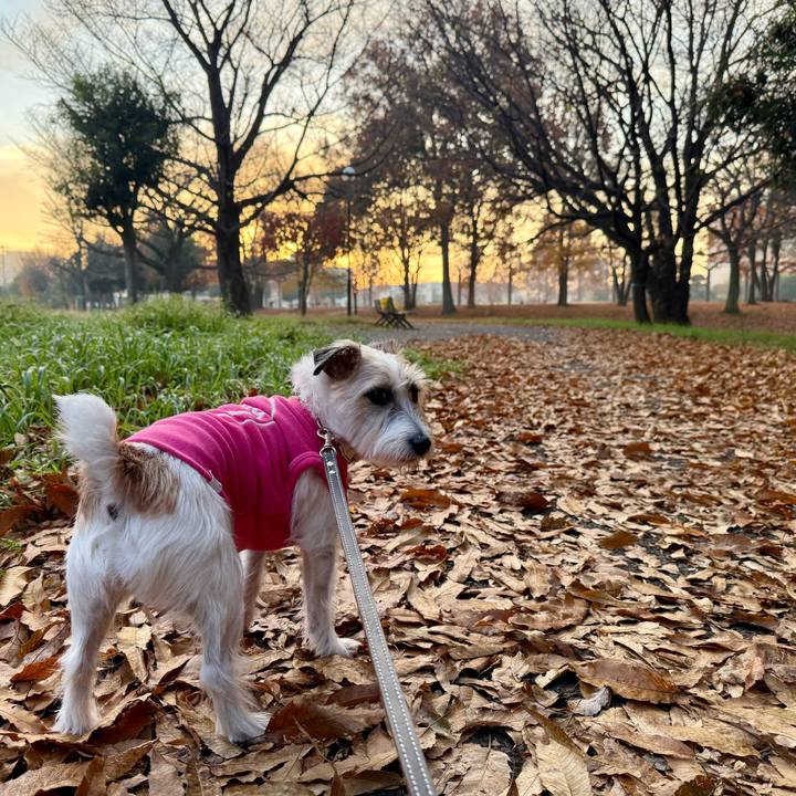 5a2d85cc 9b75 470c 9372 b269d86914d1 1764621217217