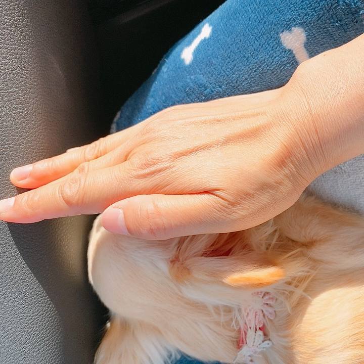 5a2da85c 01f0 41e1 9df7 4e5b48b7a42c 1617451218427