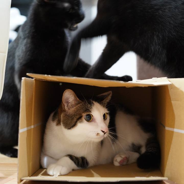 5a2db125 eb4e 4c77 999e 1ab62c452f8a 1589279102424