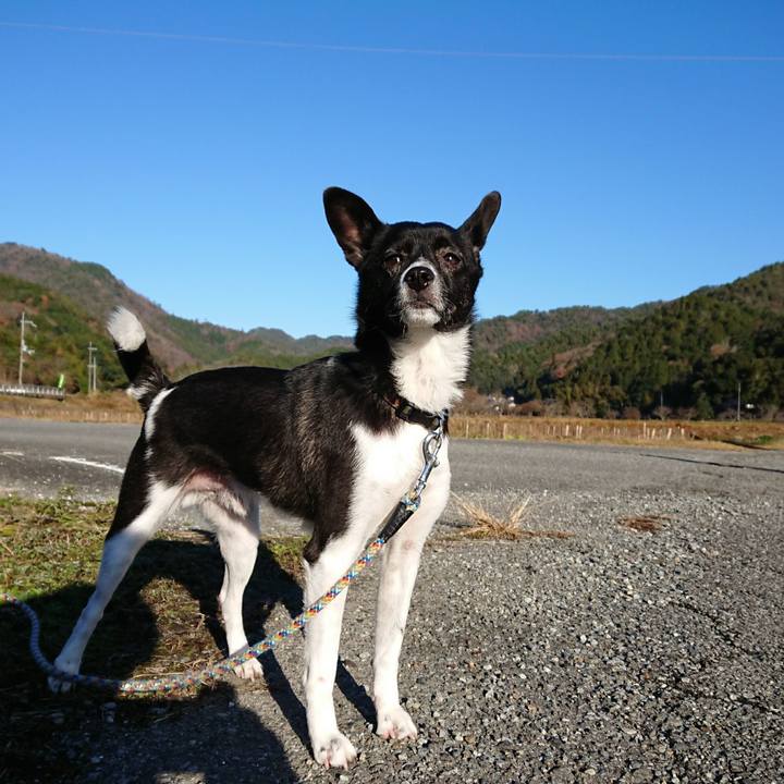 5a2db35a e6f7 4c56 94ec 0de69d5eced6 1512518842547