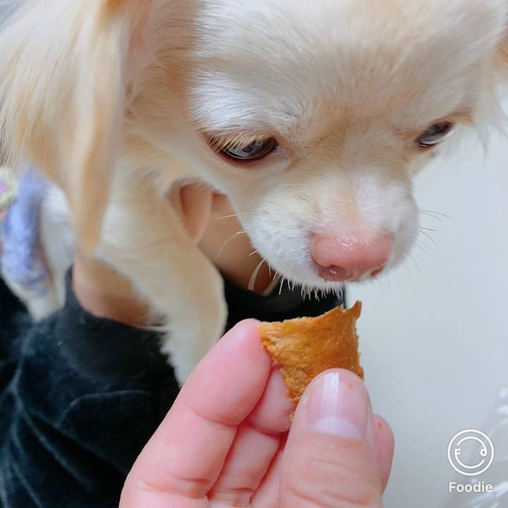 5a2dbcef dbb2 4fec 947a 65c41c8e6810 1612522003260