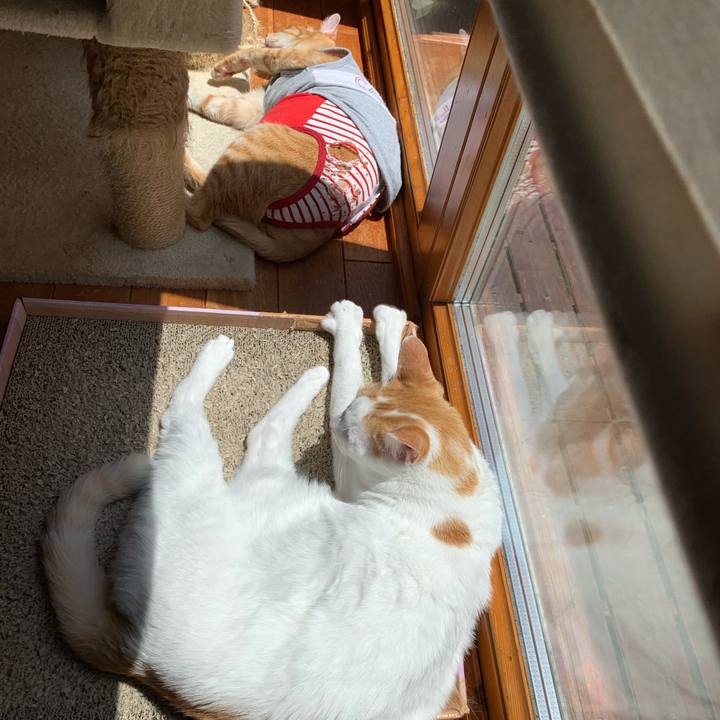 5a2e1795 c1a6 47e0 a698 5df70530f1c1 1620034698479