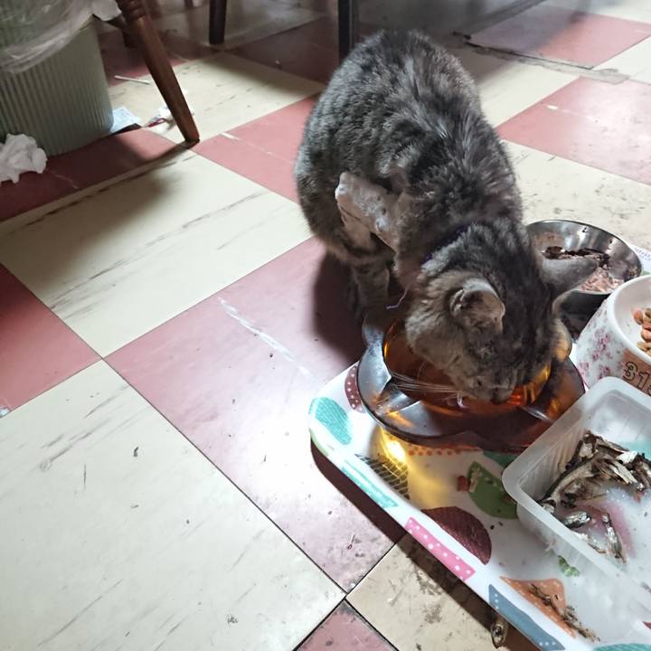 5a2e1ff4 074a 4743 8b71 060af8f3caf4 1588279769448