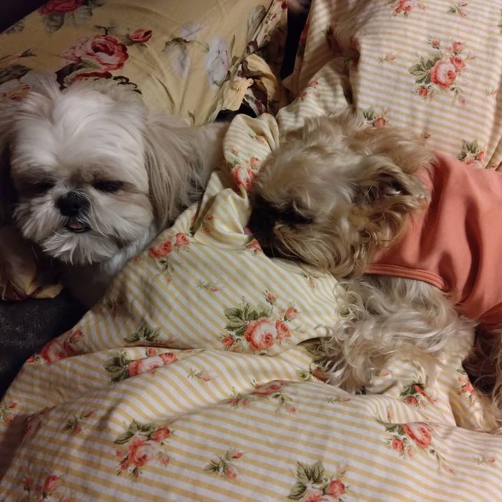 5a2e297b c6c9 4d6f a31a fd77c91b274a 1679923283456