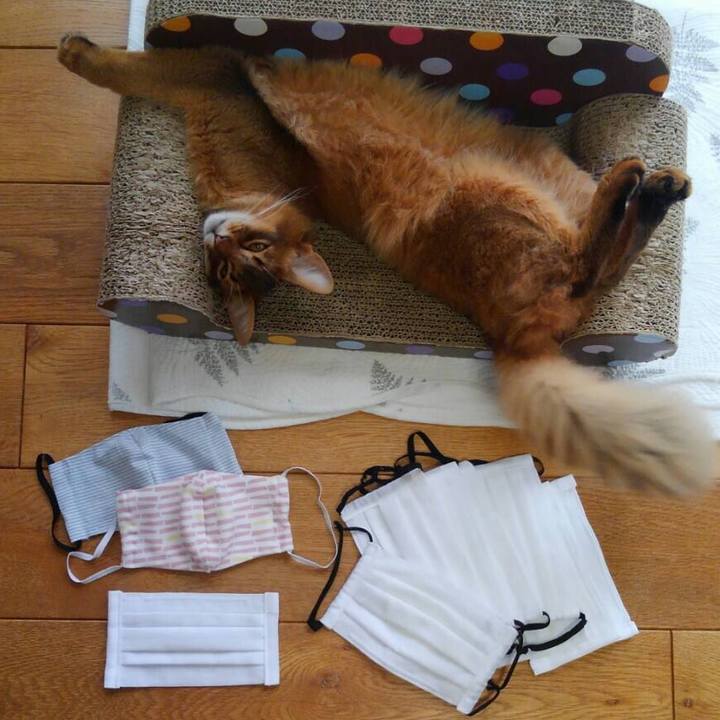 5a2e2e25 e6ac 43da 9137 571c5db1e89a 1587542391571