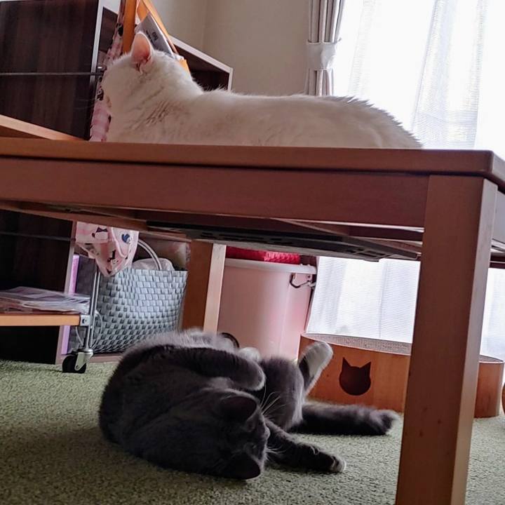 5a2e3b6f 3d3b 4363 b69a eba430b42969 1640403520186