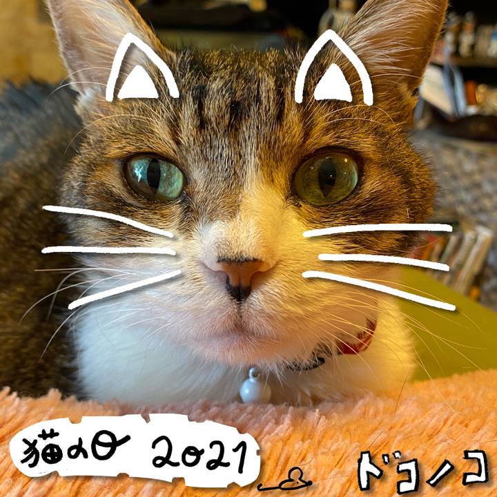 5a2e42cd abe5 4b86 a28c 669cbf18befd 1613968122312