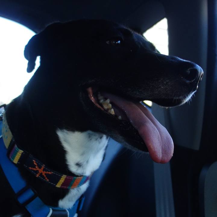 5a2e993a d8ac 439a 87e1 52a55fc26062 1626527389213