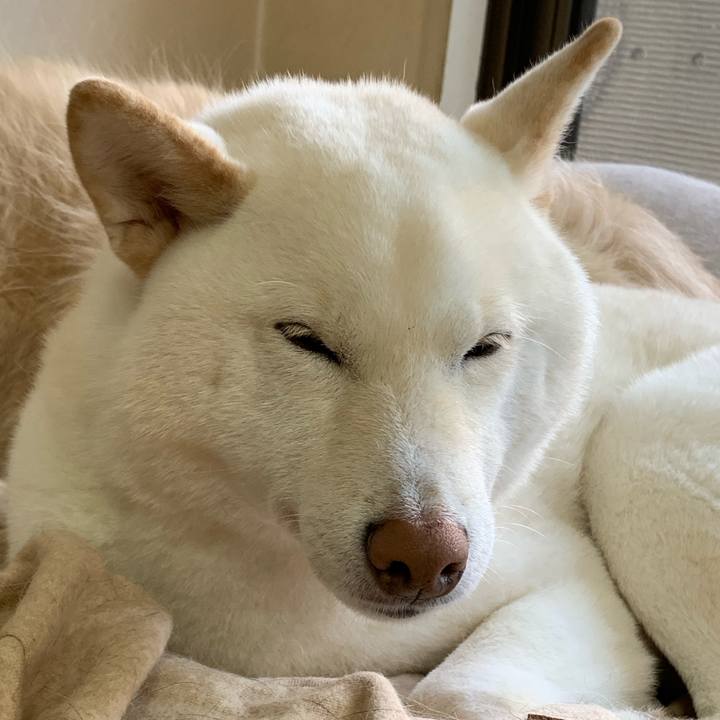 5a2ea42e 14fe 4898 aa30 7edeeadab2bb 1576204061794