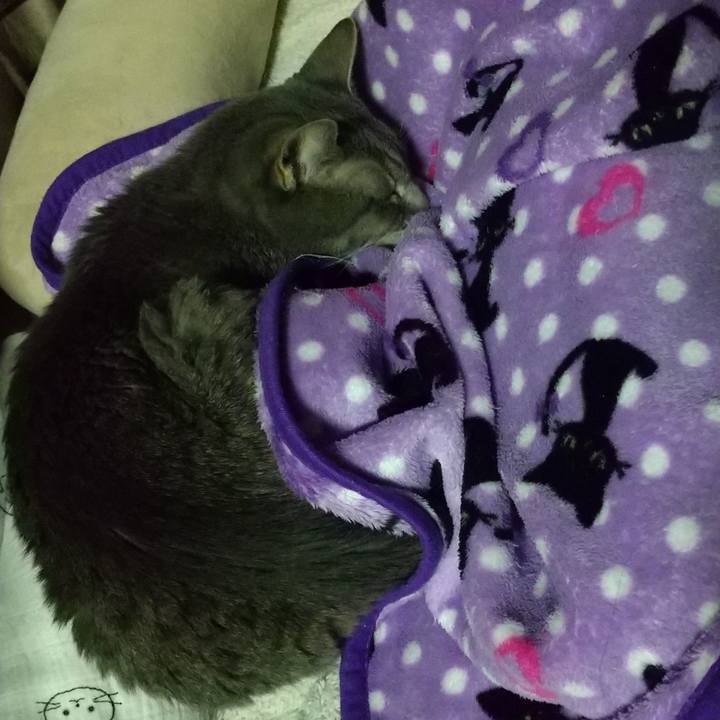 5a2ebf37 a276 4e3e a4bb a4978a193ba8 1699616147898