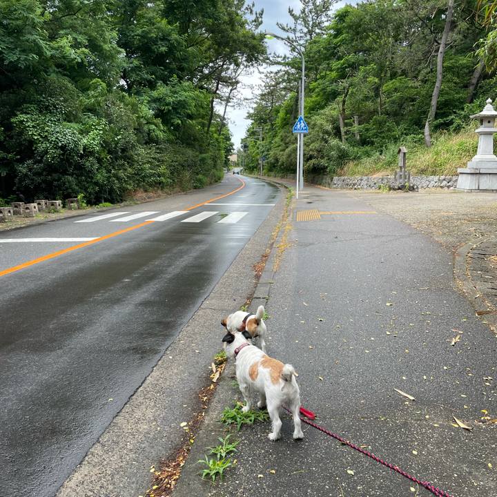 5a2ed40d 991c 4326 a1e1 ff693c08b562 1625099086228