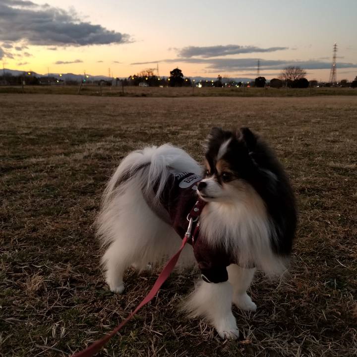 5a2f0841 757c 4858 a9f1 3fa3c2776f35 1580547938223