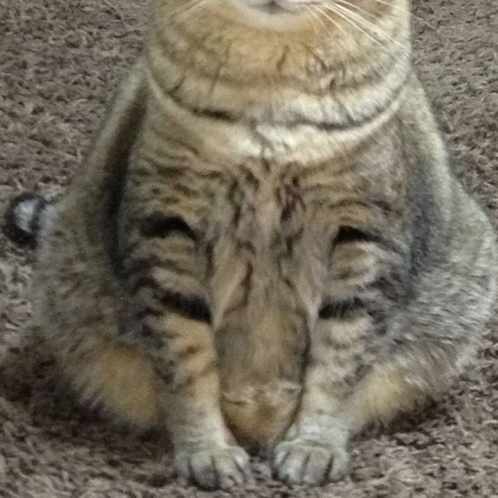 5a2f0ecb 13c4 44cb aebe c19d65a98a77 1593312319837