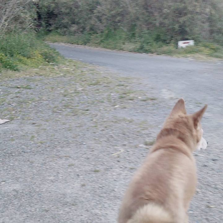 5a2f3303 1a61 40c5 9139 13260475b3f6 1586276675757