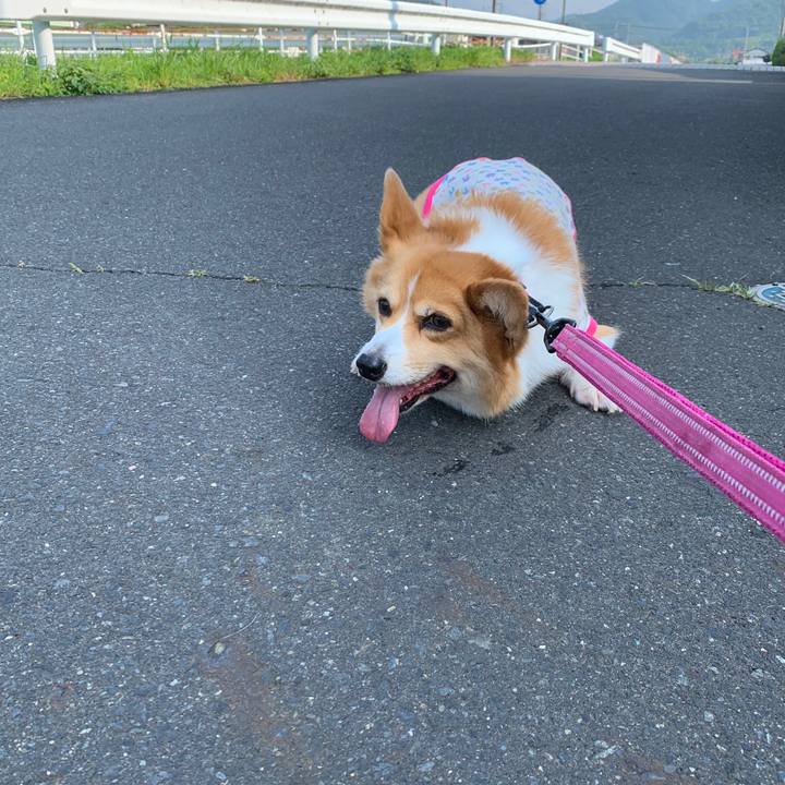 5a2f46e2 756e 487c b512 e4dc8a33cc05 1564530331199