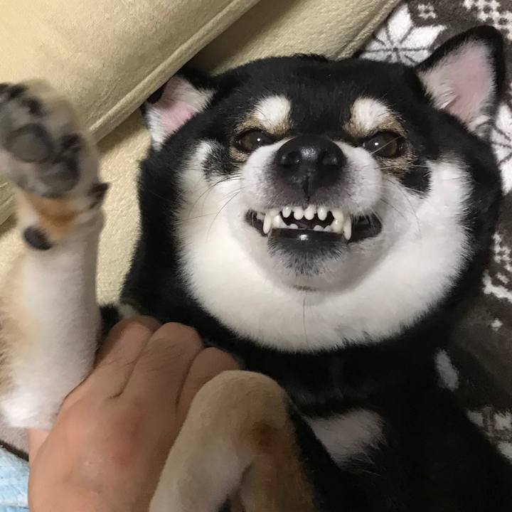 5a2f4a27 65aa 46d5 84a1 e8752222f787 1512656557172