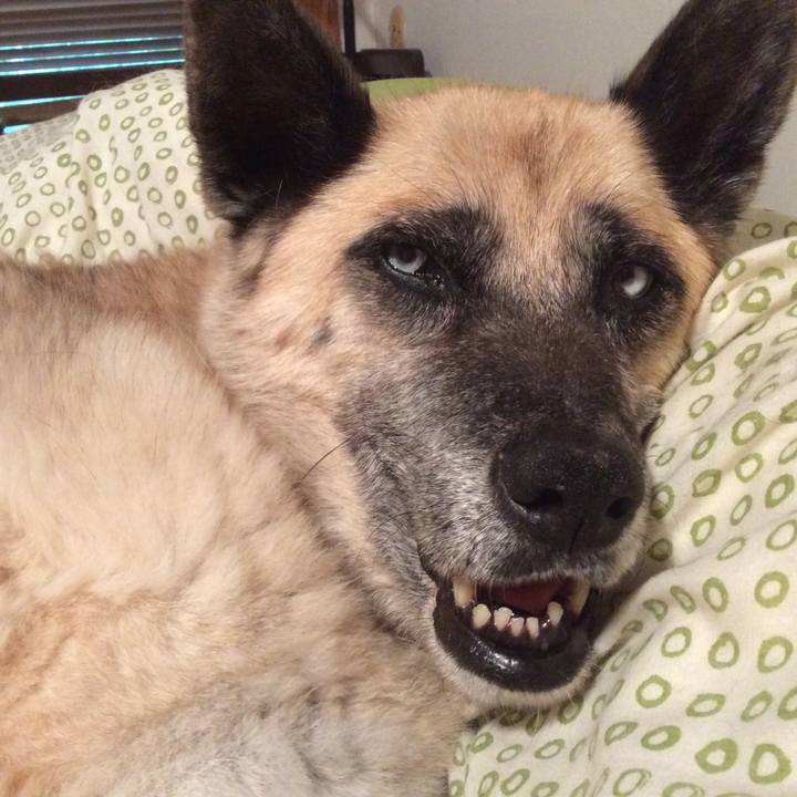 5a2f5bce 7b16 4950 8d3f efbb1ddaaba7 1535176830785