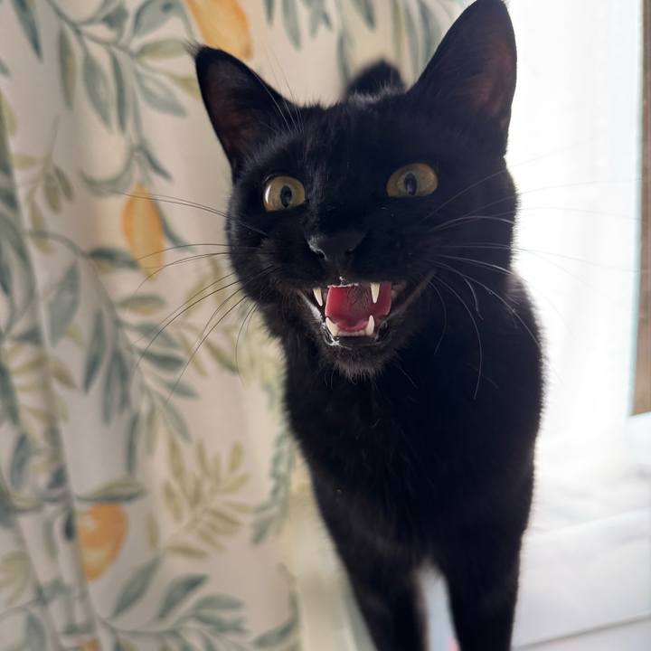 5a2f7999 f9a1 4adc bd2c f6ea91f07bdb 1759624098201