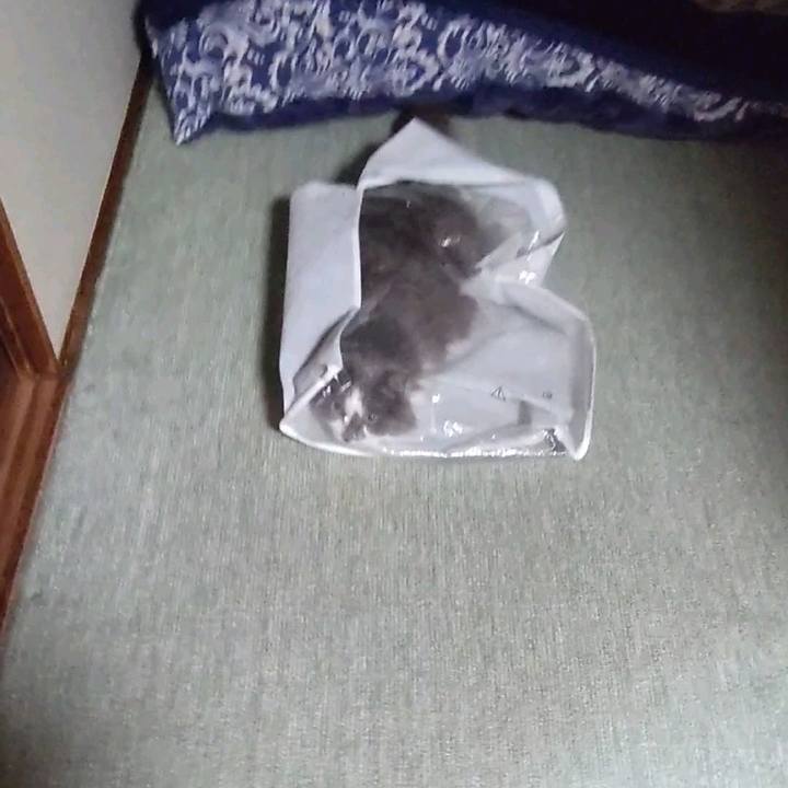 5a2f8e1f eb18 43c6 b79e 0dc76275708b 1743228430807