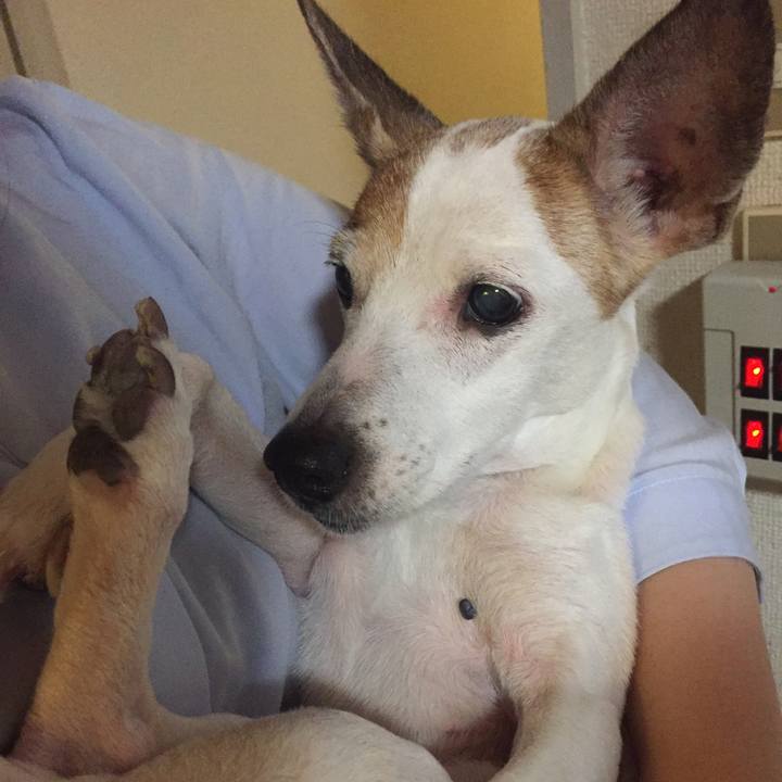 5a2fc946 d9ba 4abe 8938 544466512e91 1557118761652