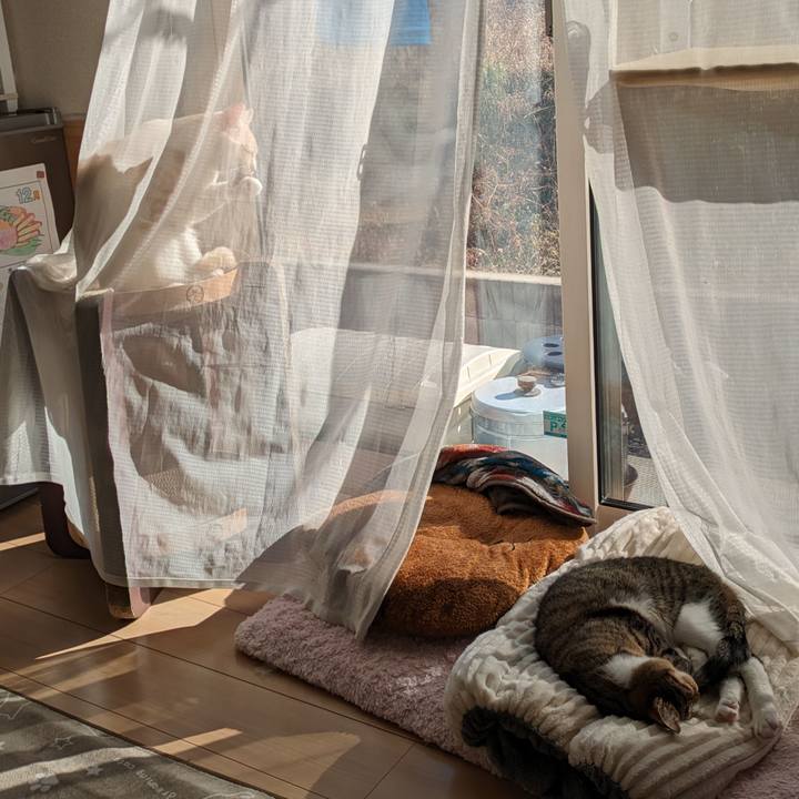 5a2fe2c6 864d 4eb6 b410 d28a13e4721f 1703736010975