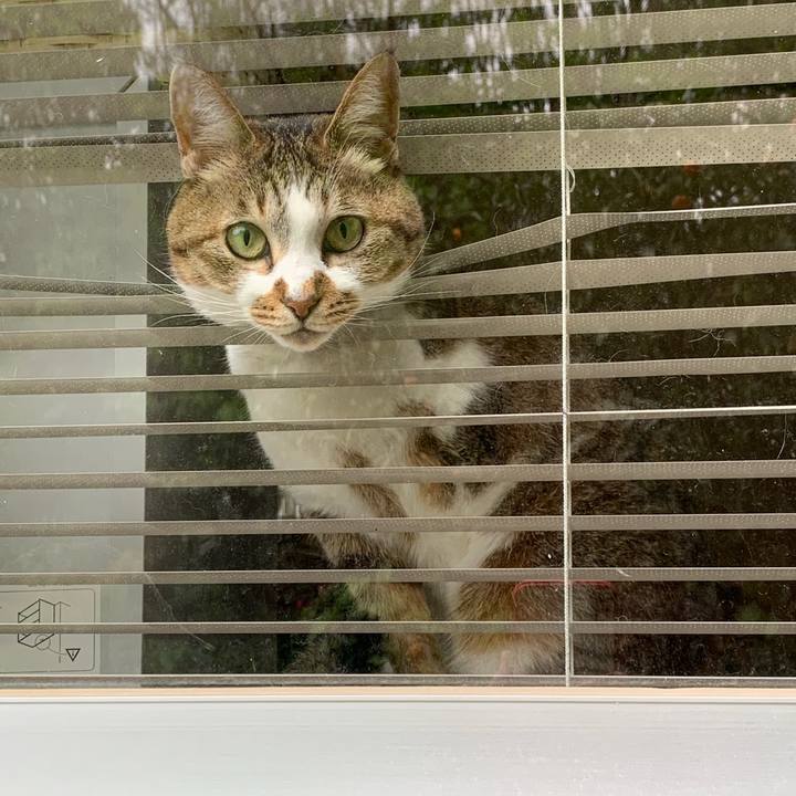 5a2fedb5 8ebf 487b 867f 3848ac4dd40e 1556083490813