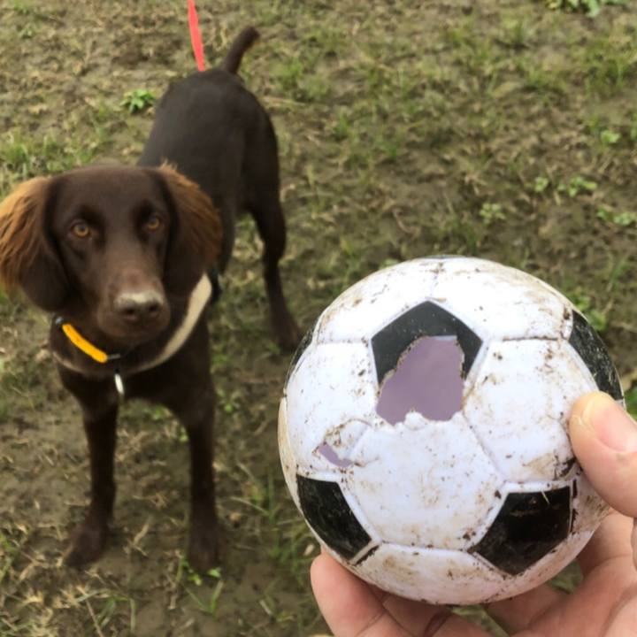 5a2feef9 9233 4996 a86f 3b98c0816c85 1575686112674